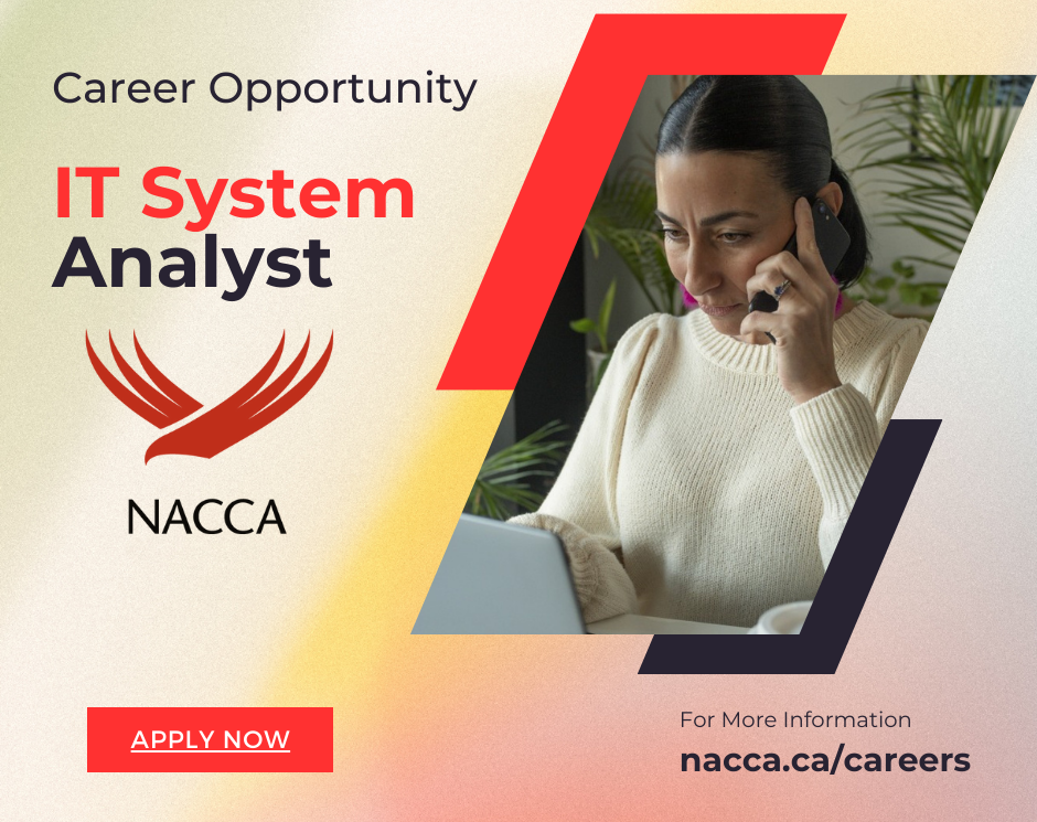NACCA-career-it-analyst